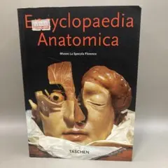Encyclopaedia Anatomica TASCHENハードカバー - メルカリ