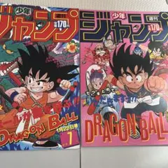 DRAGON BALL Poster Collecti on