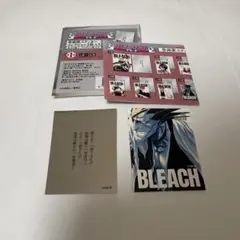 BLEACH 巻頭歌ステッカーコレクション 第1弾　更木剣八