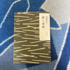 Item thumbnail for item 608acff4-8ead-4f0c-99b3-c89208c70e2f