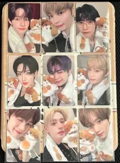 zb1 yizhiyu 一直娱 ねこ特典 トレカ 9枚セット　全員 2