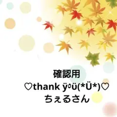 【確認用】ちぇるさん( *°ω°* )/ᵗᑋᵃᐢᵏ ᵞᵒᵘ