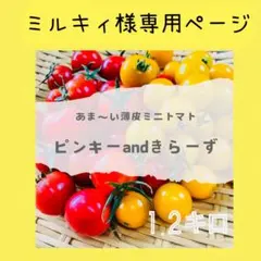 ミルキィ様専用ページ‼️ミニトマト❣️ピンキーきらーず