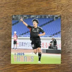 Item thumbnail for item b80aef24-50ae-4dab-b27b-36459f4fb896