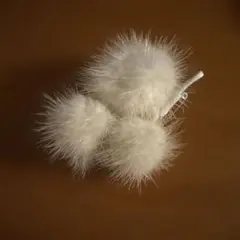 Item thumbnail for item 9a1fd92b-b5ff-43c8-badc-6138575dca55