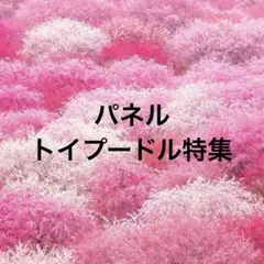 パネル トイプードル特集 7.4 オーダーページ