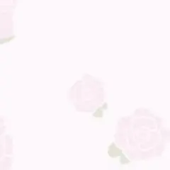 【画像欄ご確認お願いいたします♡】ふみもち様専用
