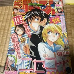 週刊少年ジャンプ 2002年 42号 空知英秋 特別読切 だんでらいおん