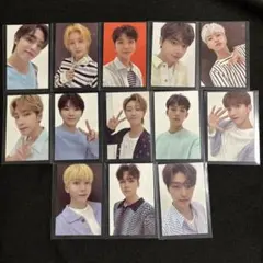 SEVENTEEN caratland Tシャツ　コンプ　トレカ