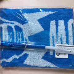 THE RAMPAGE HiGH&LOW THE WORST フラッグ タオル