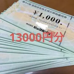 ビックカメラ　株主優待　13000円分