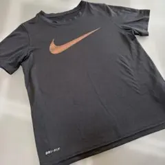 NIKE ドライフィット Tシャツ 半袖 ナイキのサムネイル