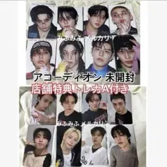 straykids スキズ karma アルバム アコーディオン 新品未開封 3