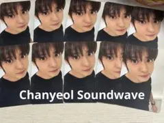 EXO チャニョルUpside downトレカSoundwave