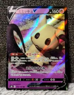 ポケカ】マグマ団のザングース アクア団のハブネーク セット 良