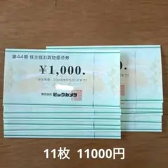 ビックカメラ　株主優待券　11枚　11000円分