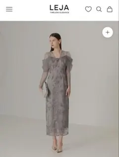 【新品未使用　タグ付き】チュールロングスリーブリーフIラインワンピースドレス