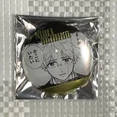 WINDBREAKER トレーディングジュエリー缶バッジ グリッター 楡井秋彦