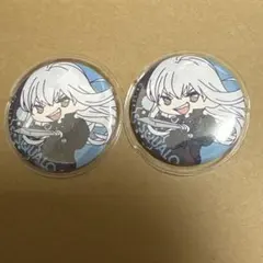 家庭教師ヒットマンREBORN！スペルビスクアーロ　缶バッジ2個セット