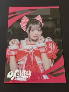 スキッツ様 リクエスト 2点 まとめ商品