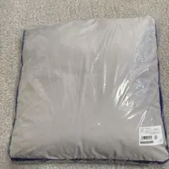 Item thumbnail for item fa4363dc-4acb-4cd1-b055-b2c3f78d277c