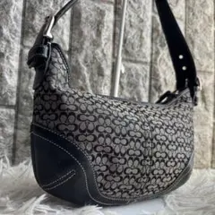 【激レア 美品】コーチ　ワンショルダー　ミニハンドバッグ　シグネチャー　ネイビー