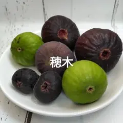 aiai様専用　穂木