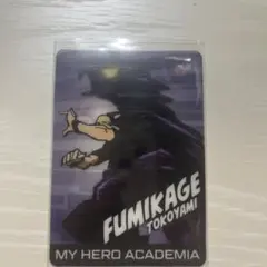 ヒロアカウエハース　常闇踏陰