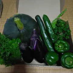 栽培時農薬不使用　夏野菜 詰め合わせセットのサムネイル