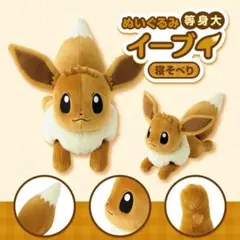 【新品未開封】等身大イーブイぬいぐるみ 寝そべり