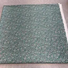 Item thumbnail for item 96262079-3519-4087-b3bc-f3b4670487fd