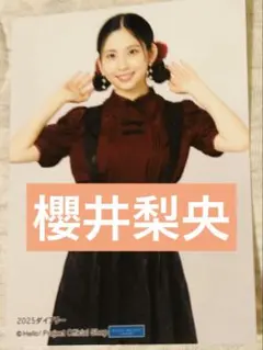 Item thumbnail for item 457db38c-8db2-4a71-8408-3932da97b5bc