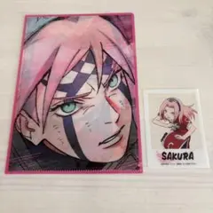 【未使用】NARUTO miniクリアファイルコレクション クリアフォトカード
