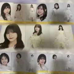 乃木坂46 卒業メンバー 生写真