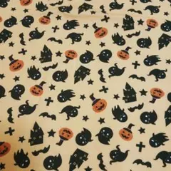 NUNOIRO ヌノイロ　ハロウィン　ニット生地