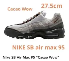 Nike SB x Air Max 95 “Cacao Wow 27.5cm