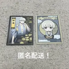 wind breaker 梶