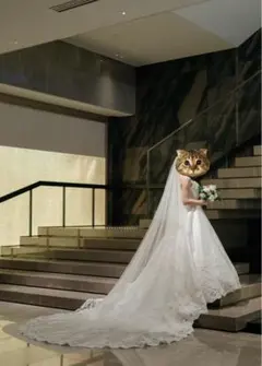 2025年最新】タカミブライダル ベール ラメの人気アイテム