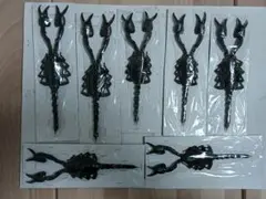 해외 표본 | 인도네시아 전갈 표본 (곤충/절지동물 표본)