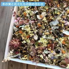 木の実と花々たちの詰め合わせ ミニ 自然素材 ドライフラワー 花材 素材