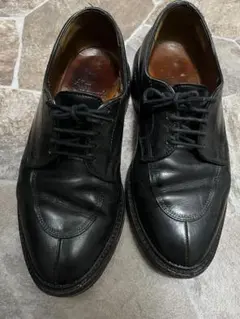 【売り切りセール】Allen Edmonds Waltonのサムネイル