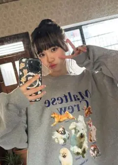 チェウォン着用 Waikei グレー トレーナー
