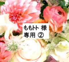 ももトト 様 専用① 2024年最新版 フルセット DWE ディズニー美品多数