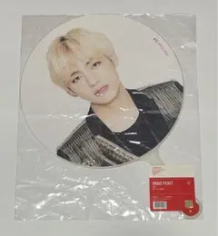 BTS SPEAK YOURSELF テヒョン うちわ