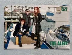 2026年最新】The alfee トレカの人気アイテム - メルカリ