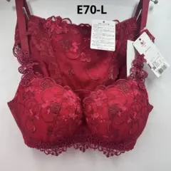Wacoal L'ge 28G ブラ＆ショーツE70-L