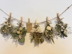 Item thumbnail for item 88314042-7a99-48b1-9825-15ca93a84eb6