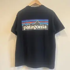 patagonia サイズ：xs