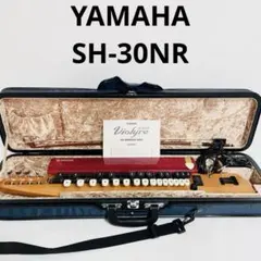 2026年最新】YAMAHA 和楽器の人気アイテム - メルカリ