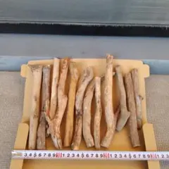 Item thumbnail for item 8a1f3a60-d940-43c8-a948-3df0add7cb06